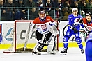 fot_50