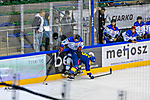 fot_19