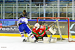 fot_19