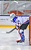 fot_46