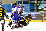 fot_23
