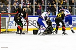 fot_29