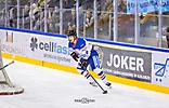fot_29