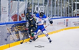 fot_17