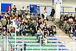fot_43