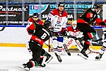 fot_15