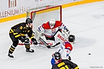 fot_19