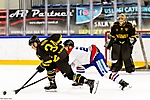 fot_29