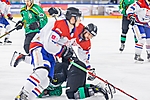 fot_29