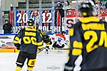 fot_29