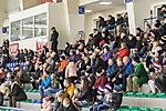 fot_8